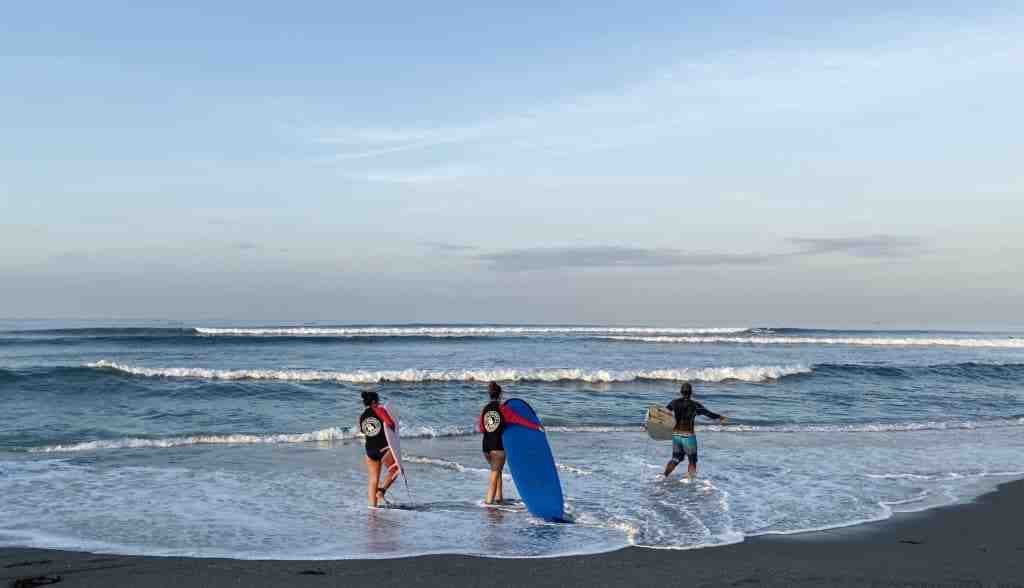 Comment travailler dans le surf ?